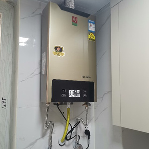 樱花家用燃气热水器强排式