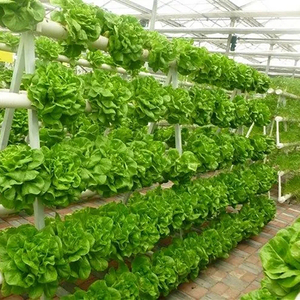 无土栽培蔬菜设备智能水培草莓黄瓜温室大棚管道式种植架多层室内