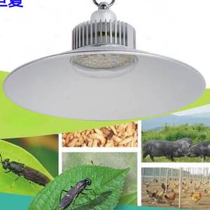 黑水虻补光灯led大功率50w100w专用光谱照明灯室内养殖产卵繁殖灯