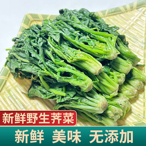 荠菜野菜新鲜现挖包邮整棵冷冻荠荠菜包馄饨馅速冻野生荠菜馅商用