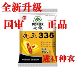 先玉335玉米种子红轴国审新品种登海先锋抗虫抗病虫四川云南贵川
