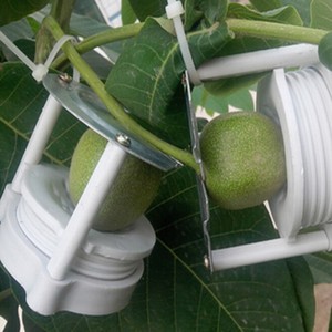 文玩麻核桃狮子头定型模具青皮闷尖上夹板子弹簧塑料小桃核可调节