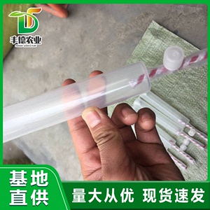 黄瓜茄子西红柿点花器对花神器新款授粉器番茄点花笔手动人工