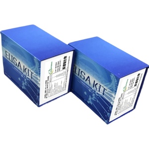 人 白介素1可溶性受体Ⅱ(IL-1sRⅡ)ELISA检测试剂盒