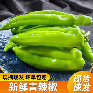 自家农村自种新鲜现摘辣椒净重3/5斤微不辣虎皮青椒青椒尖椒