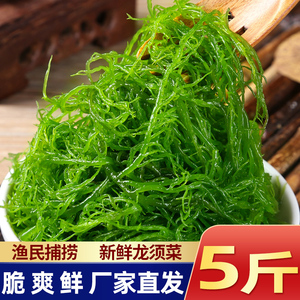 新鲜龙须菜火锅凉拌菜批发食品包装海菜海藻食材海草发菜石花菜