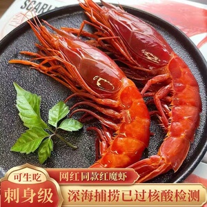 西班牙红魔虾超大海捕新鲜刺身特大鲜活零号莫桑比克生呛红虾包邮