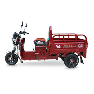 三轮小摩托车 小型 燃油 农用 汽油三轮摩托车小货斗 家用 代步车