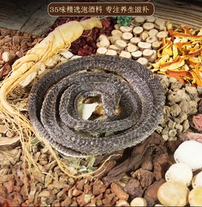 乌梢蛇泡酒药材套装老人十全养生药酒大补强身健体男用蛇干泡酒料
