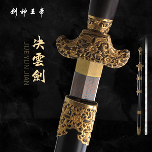龙泉古艺铸剑汤汝平帝王神剑决云剑清剑花纹钢长剑鎏金刀剑未开刃