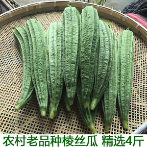 湖南新鲜八角线瓜八角瓜棱角丝瓜有棱丝瓜线摘现发4斤包邮