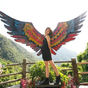 天使之翼创意秋千网红翅膀户外民宿吊椅农庄景区打卡摄影道具摆件