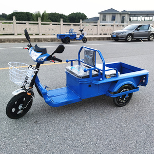 小电动三轮车拉货平板