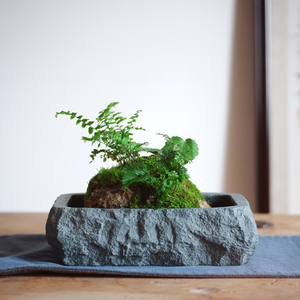 青石花盆假山吸水石盆天然石头盆上水石菖蒲盆景盆石槽养鱼文竹盆