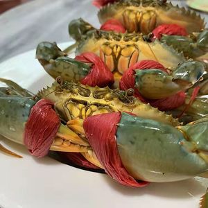 福建东山红树林红鲟膏蟹 100g-150g/只 鲜活螃蟹 1斤/4只顺丰包邮