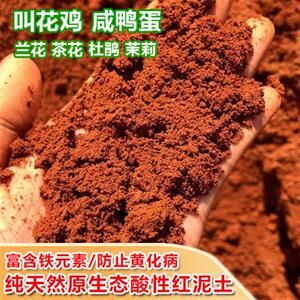 红土杜鹃兰花茶花茉莉专用红泥土颗粒酸性营养土叫花鸡茶叶蛋粘土