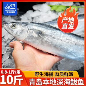青岛鲅鱼新鲜鲜活冷冻整条10斤蓝点马鲛鱼海鱼燕鲅鱼小鲅鱼大鲅鱼