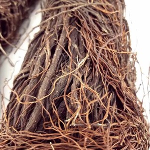 000人付款淘宝造景根须枯藤g蔓雨林鱼缸专用树根