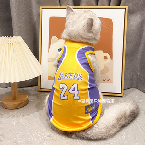 科比篮球詹姆斯宠物猫咪衣服黑曼巴湖人队24号骑士23号公牛凯尔特
