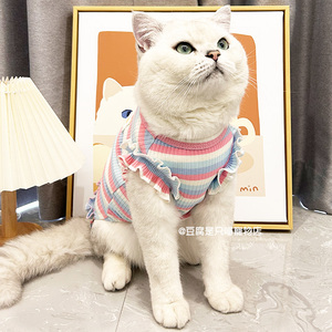 飞袖宠物猫咪衣服夏季薄款银金渐层布偶矮脚母猫英美短防掉毛背心