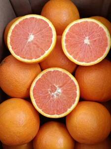 布丁橙水果生鲜姊归脐橙中华红血橙红心橙红肉橙新鲜当季水果橙子