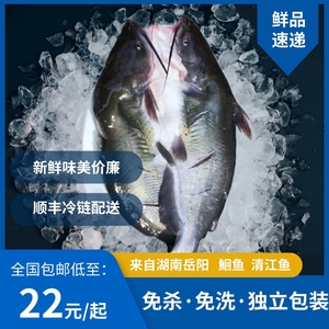 清江开背鱼冷冻回鱼烤鱼半成品淡水鮰鱼新鲜鱼纸包鱼家常过年年货