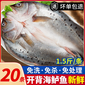 海鲈鱼开背新鲜冷冻深海七星鲈鱼海鱼卢鱼海鲜水产烤鱼半成品商用