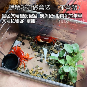 寄居蟹别墅桌面宠物养螃蟹专用缸观赏蟹小螃蟹饲养缸新手套餐造景