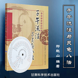 注与灵龟八法 9787542411396 赠罗盘 针灸 穴位甘肃科学技术郑魁山著