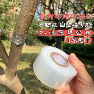 新品膜套树苗塑料袋果树嫁接防冻保温膜罩p防寒苗木种植袋定制