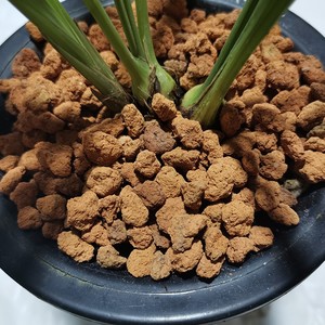 k刘阁兰花 卉土红石头颗u粒土 铺营植料花红绿植专用面养土兰花土