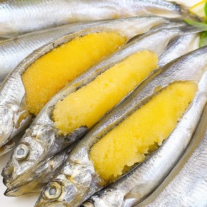 多春鱼满籽特大新鲜烧烤商用冰鲜带籽海鲜水产冷冻鲜活多籽鱼2斤