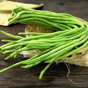 长豇豆种子张塘王高产绿白条紫红龙纹菜豆青长豆角秧苗无架豆种籽