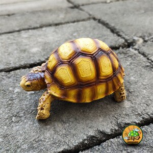 新品苏卡达模型高仿真树脂材质动物摆i设品非活工手体艺龟陆模型