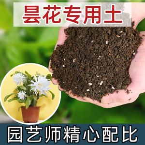 养昙花专用土营养土养花通用专用花土壤橡皮树土种植泥土专用肥料