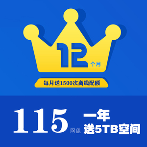115网盘12个月会员115云盘年费会员vip充值一年送5t空间扩容