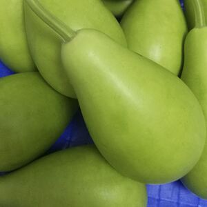 福建漳州菜葫芦瓜新鲜食用圆葫芦瓠子农家种