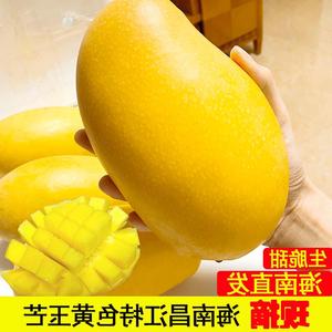 海南昌江特产水果当季新鲜特大黄玉芒果10斤礼盒装生吃酸脆甜包邮