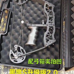黑鹰小型复合弓箭驽滑轮反曲弓玩具弓红外线射鱼弓成人弹射箭器材