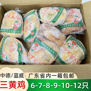 中德三黄鸡冷冻678910只白条鸡新鲜整鸡童子鸡黄油农家鸡整箱广东
