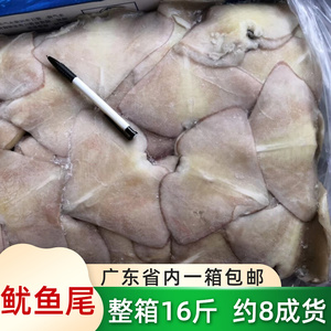 鱿鱼尾巴批鱿鱼翅膀新鲜冷冻鱿鱼翼烧烤铁板鱿鱼16斤带冰广东发货