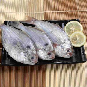 肉鲳鱼新鲜