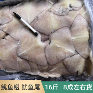 鱿鱼尾巴批鱿鱼翅膀新鲜冷冻鱿鱼翼烧烤铁板鱿鱼16斤带冰广东发货