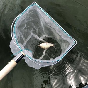鲫鱼笼捕鱼