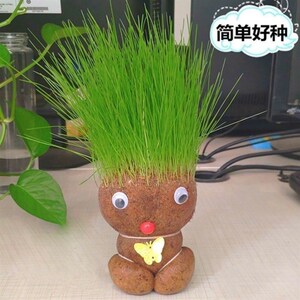 新浇水草盆长草娃娃抖物同款情侣可爱创意小头栽头上长草植音带.