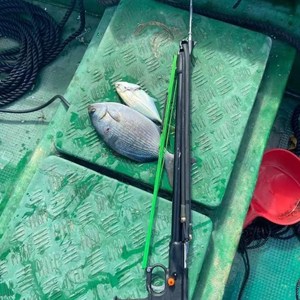 潜水射鱼枪 双皮筋动力 潜水鱼枪 水下射鱼用