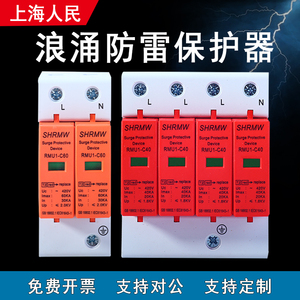 上海人民8/20us浪涌防雷保护器 家用T2电源开关电涌2P3P4PSPD模块