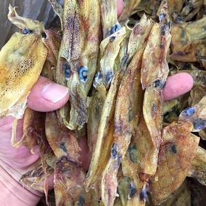 新包邮南澳海味干货 吹筒仔b仔鱿鱼筒吊鱿筒灯光吹筒仔小鱿鱼仔50