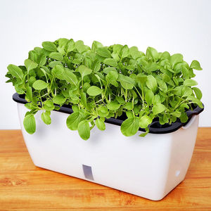 箱长方形蔬菜家庭种植养花神器盆栽种菜懒人吸水自动凉台塑料阳台