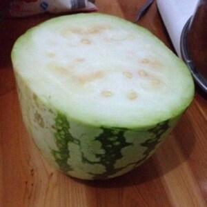 极早熟冬瓜种子 花皮绿皮冬瓜不是西瓜新奇特蔬菜种子栽阳台籽